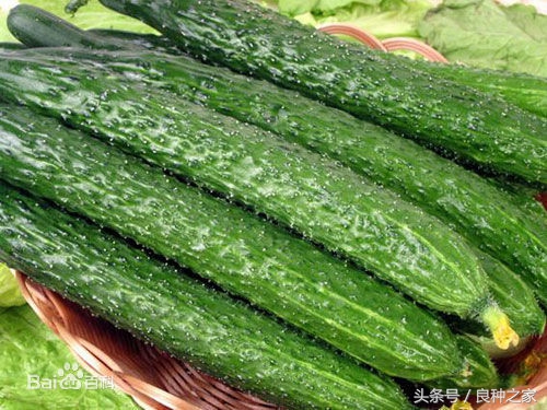 餐桌上常见的本土作物是什么,10种常见的粮食作物