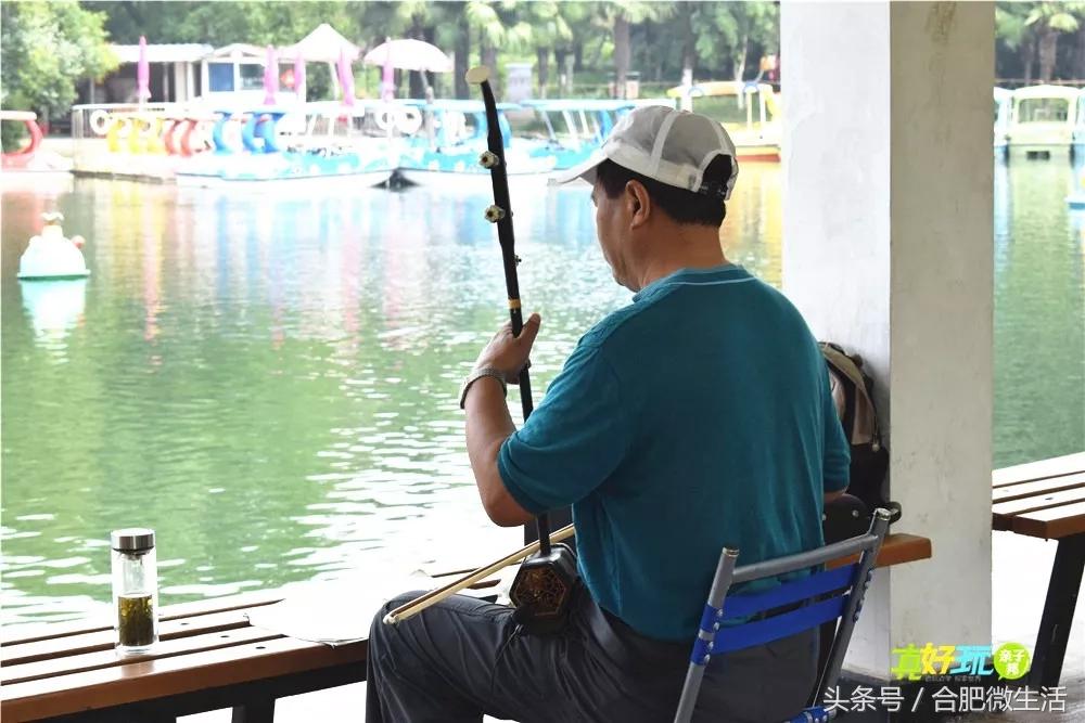 老合肥杏花公园,合肥曾经有两个杏花公园