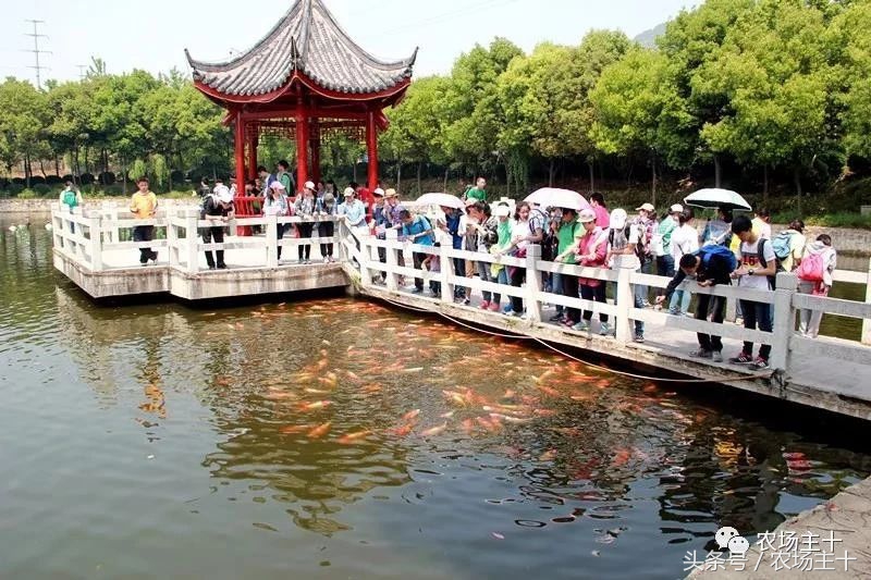 休闲农庄7大盈利模式,休闲农庄有什么前景吗