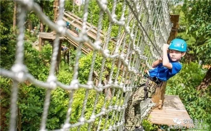 休闲农庄7大盈利模式,休闲农庄有什么前景吗