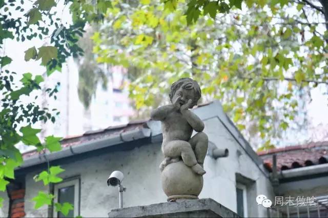 厉害了!魔都这条路上的面包比Farine好吃，梧桐比武康路还美