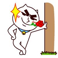 2003年第三届柳州国际奇石节,柳州奇石节