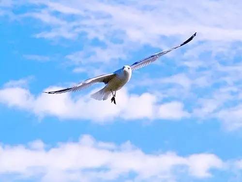 共青团助力青年创业,共青团投身脱贫攻坚工作案例