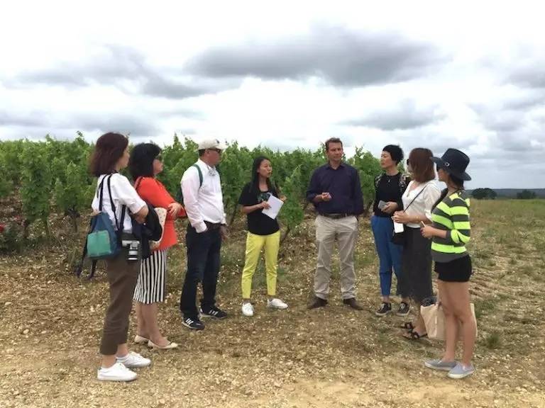 波尔多名庄酒庄,波尔多有名的酒庄