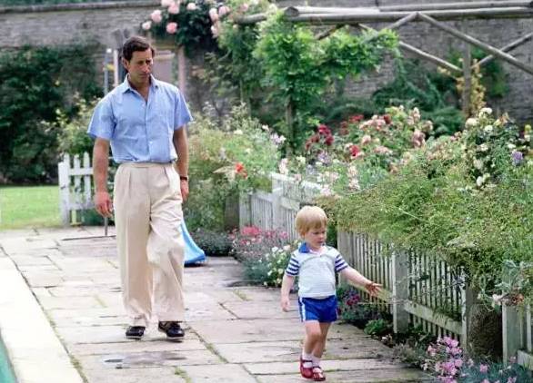 小王子你不冷吗?你王妃额娘为啥永远给你穿条小短裤?