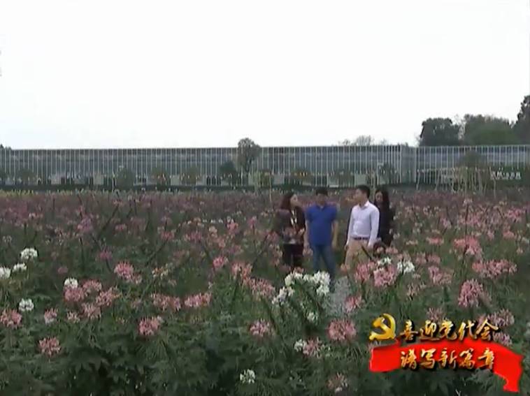 土地确权最新政策江西,江西抚州农村宅基地确权