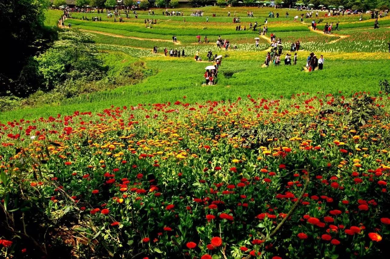 冷空气来袭！成都周边最全温泉地图，打响今秋第一泡！（内含百个免费秋游福利预告）