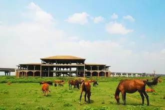 长沙的秋天去哪了,长沙秋天适合去的地方