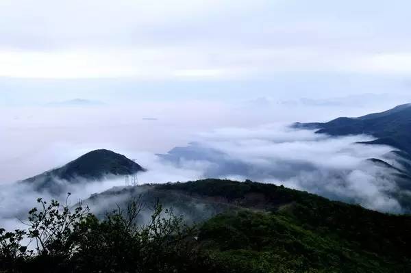 佛山机场增加航班,佛山沙堤机场最便宜航线