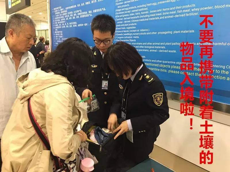 沙漠玫瑰石|放你走还是让你留