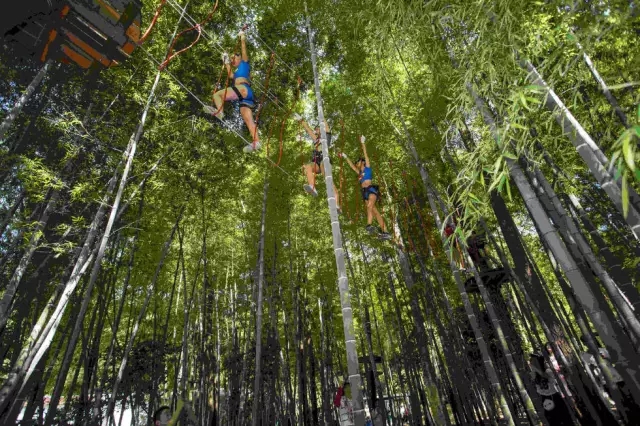 长沙的秋天去哪了,长沙秋天适合去的地方