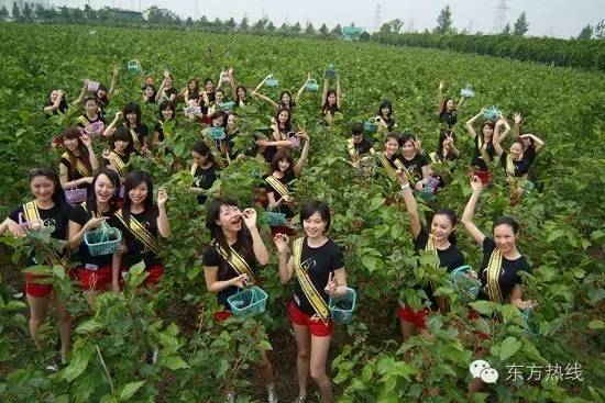 宁波市2023年各行业平均工资,宁波哪个区的薪资待遇最好