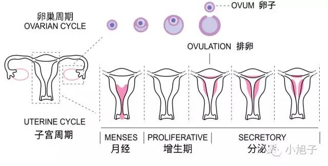 妈妈们曾经羞于谈起的事情,如今我想和你讨论讨论