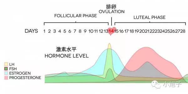 妈妈们曾经羞于谈起的事情,如今我想和你讨论讨论