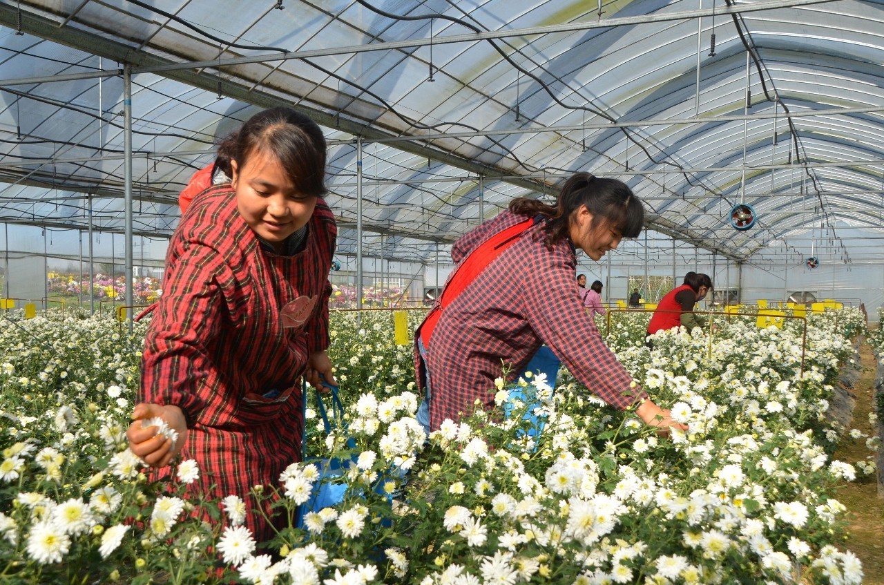 安徽滁州10大最美乡村,滁州第二批美丽乡村名单