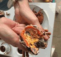 在东北人不是什么都能蘸酱,在东北什么都可以蘸酱