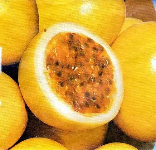 全国最大的水果电商,北流水果网红