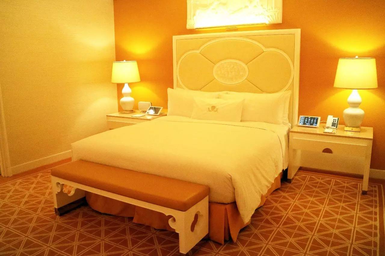 澳门永利皇宫免费参观吗,澳门旅游永利皇宫攻略图