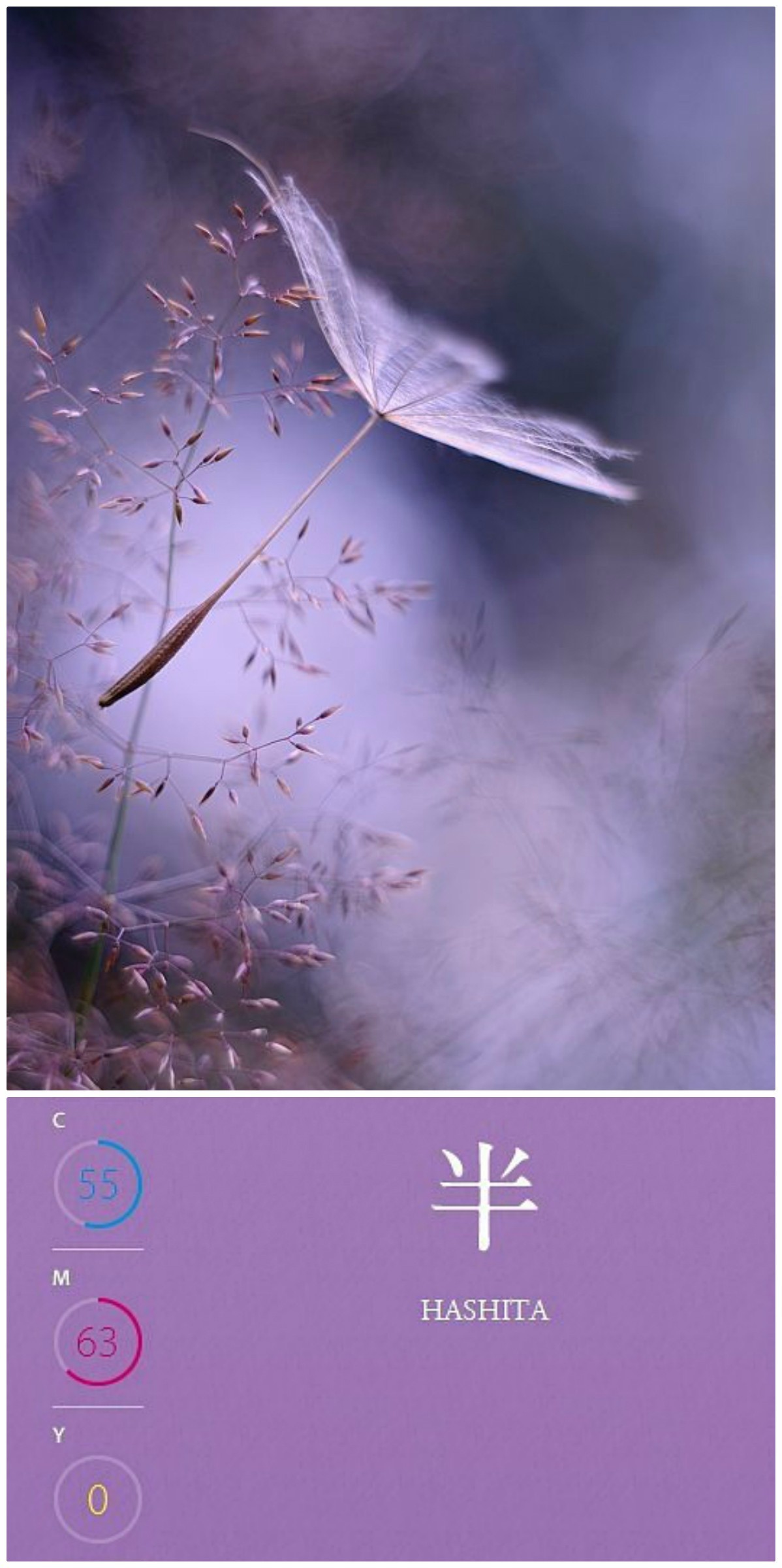 小野小町|最平安的世代最美的女人