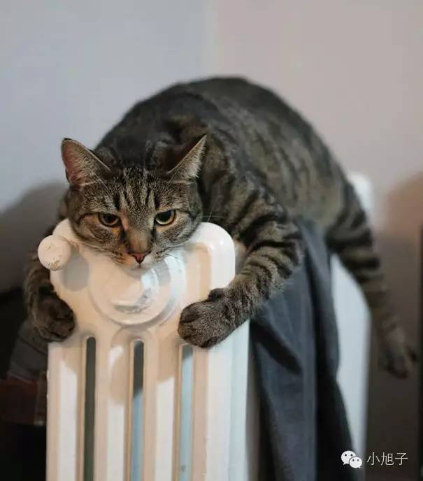 妈妈们曾经羞于谈起的事情,如今我想和你讨论讨论