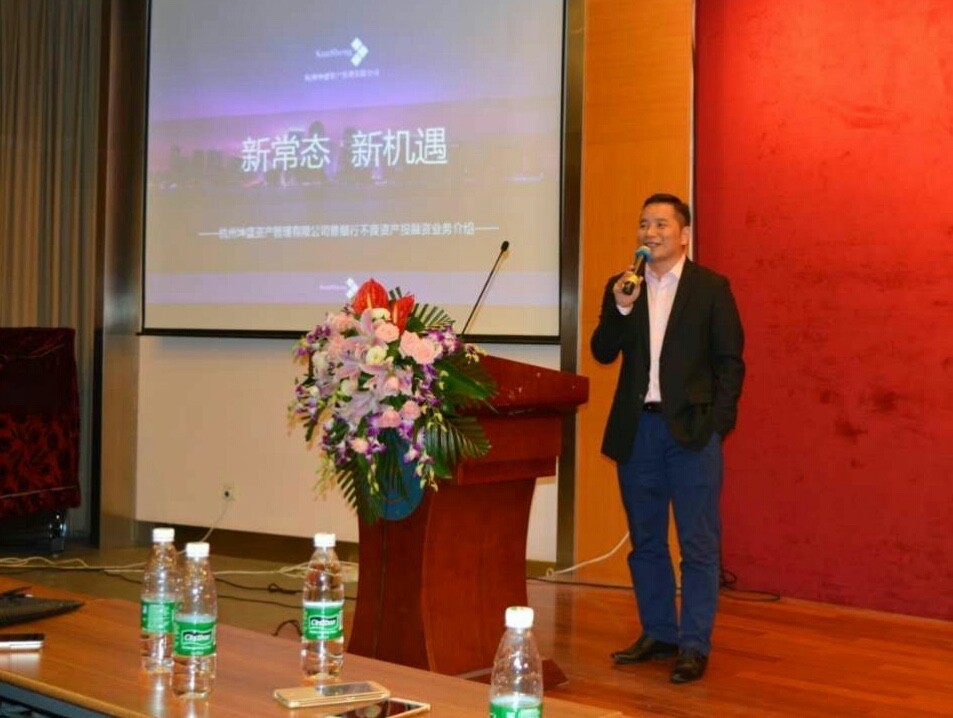 互联网不良资产案例,互联网不良资产处置经验