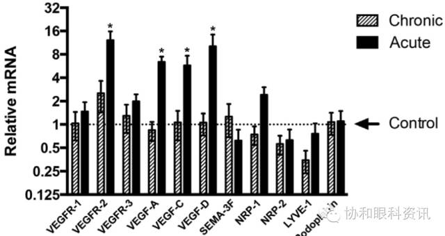文摘速递TAO眶压升高，谁是幕后元凶？