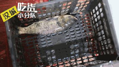 汉中好吃不贵的鱼火锅,汉中老字号鱼火锅