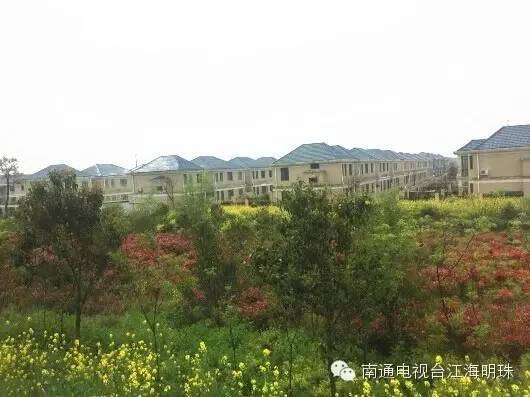 南通开沙岛房车露营套票,房车户外拓展