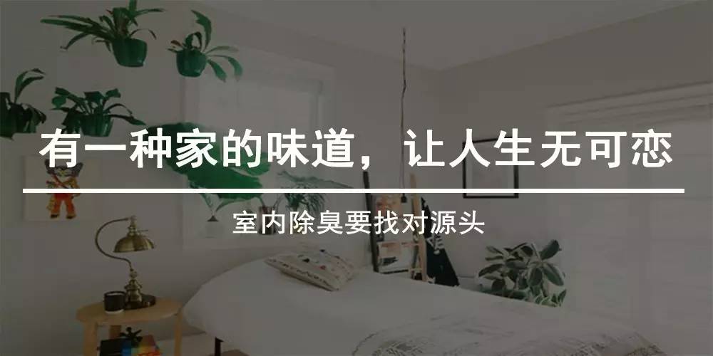 坐在马桶上思考吃什么,坐在马桶上思考的人