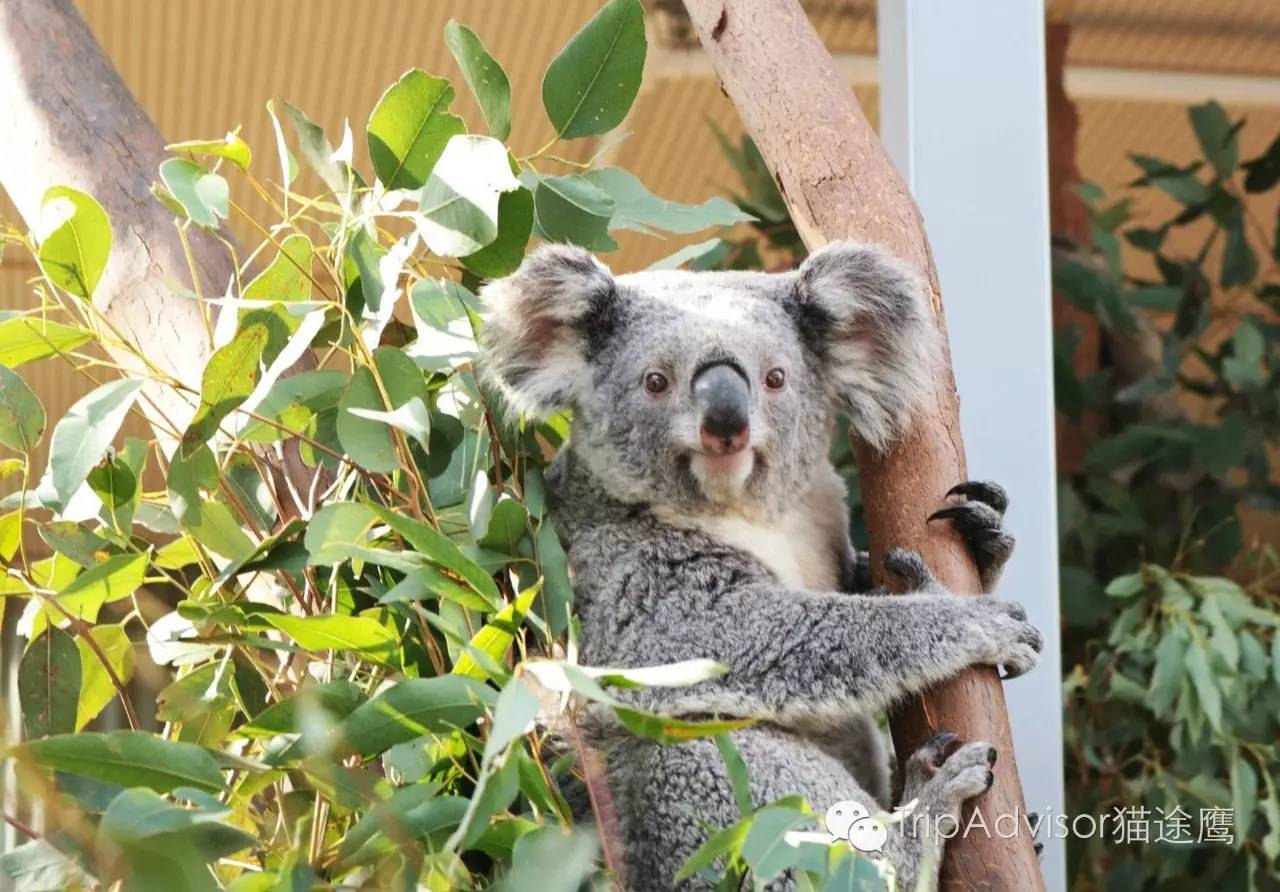 一次完美旅行需要掌握的几个要点,让旅行更完美的生活小妙招
