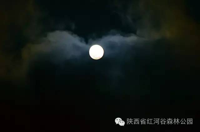 9月去红河怎么玩,国庆节云南红河适合去哪旅游