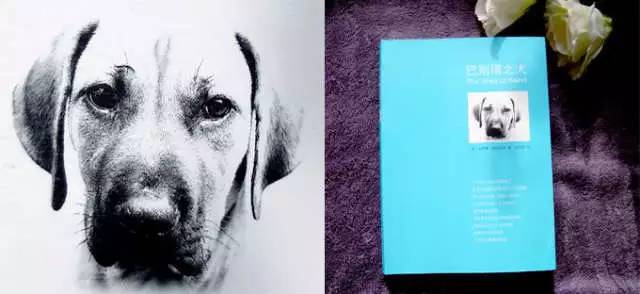 卡罗琳·帕克丝特|《巴别塔之犬》