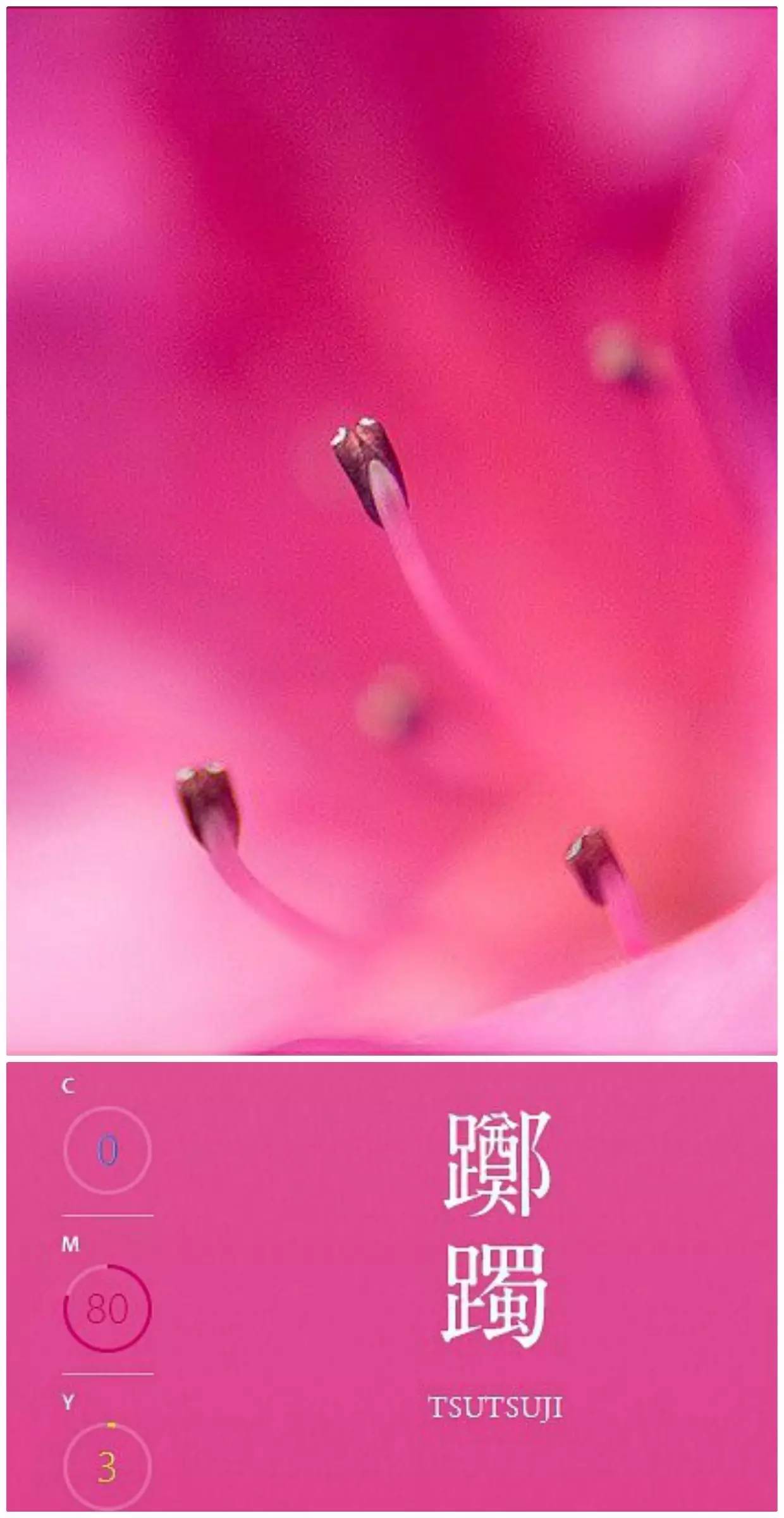 小野小町|最平安的世代最美的女人