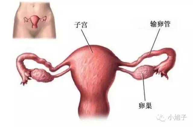 妈妈们曾经羞于谈起的事情,如今我想和你讨论讨论