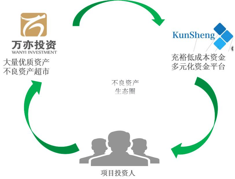 互联网不良资产案例,互联网不良资产处置经验
