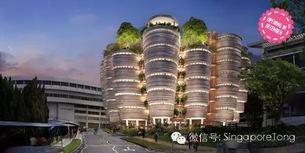 这个排行靠谱嘛？新加坡国大第50，南大74；中国大学挤进前60！