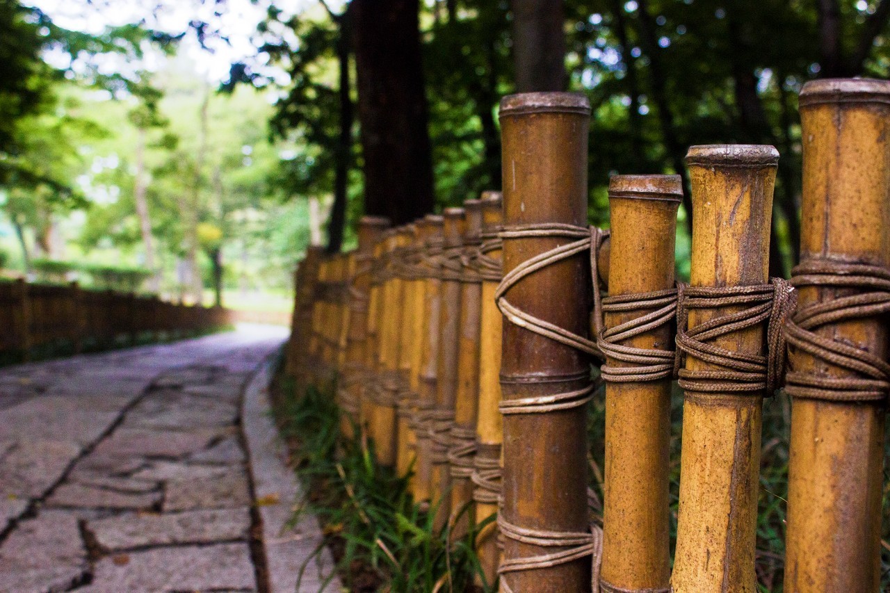 当我从鱼山的每一个角落路过