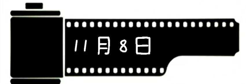 2020十一月观影指南,11月观星指南