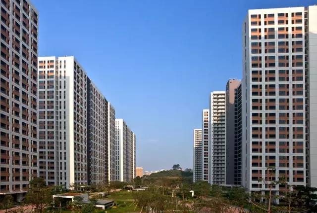 关注深圳龙岗,深圳龙岗最好消息