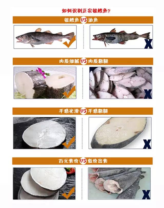 槌曢奔鎬庝箞涔版渶濂藉悆 (鎬庢牱涔伴硶楸兼渶濂藉悆)