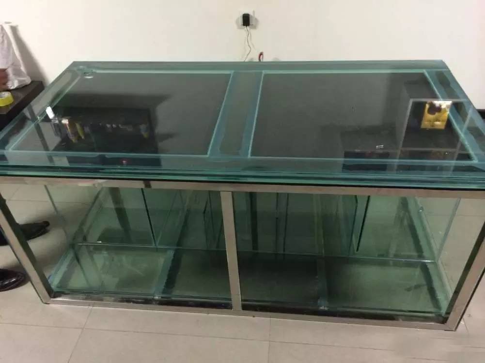 如何有一个好的鱼缸,给自己一个完美的空间