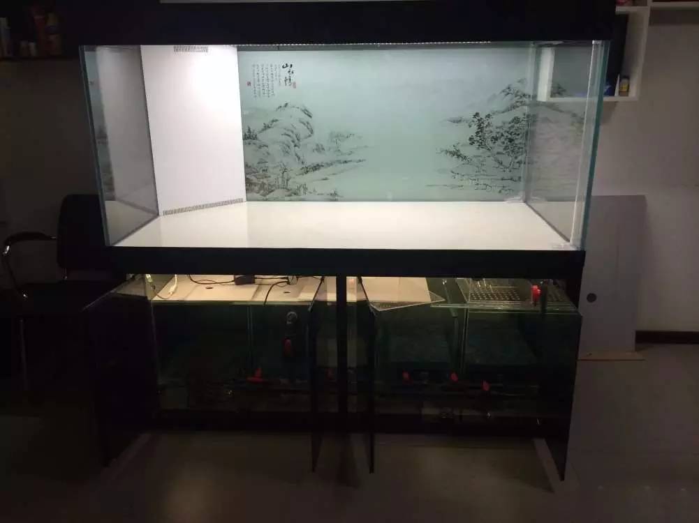 如何有一个好的鱼缸,给自己一个完美的空间