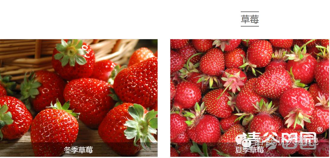 牛气!年出口创汇2亿美元,海升果香弥漫全球