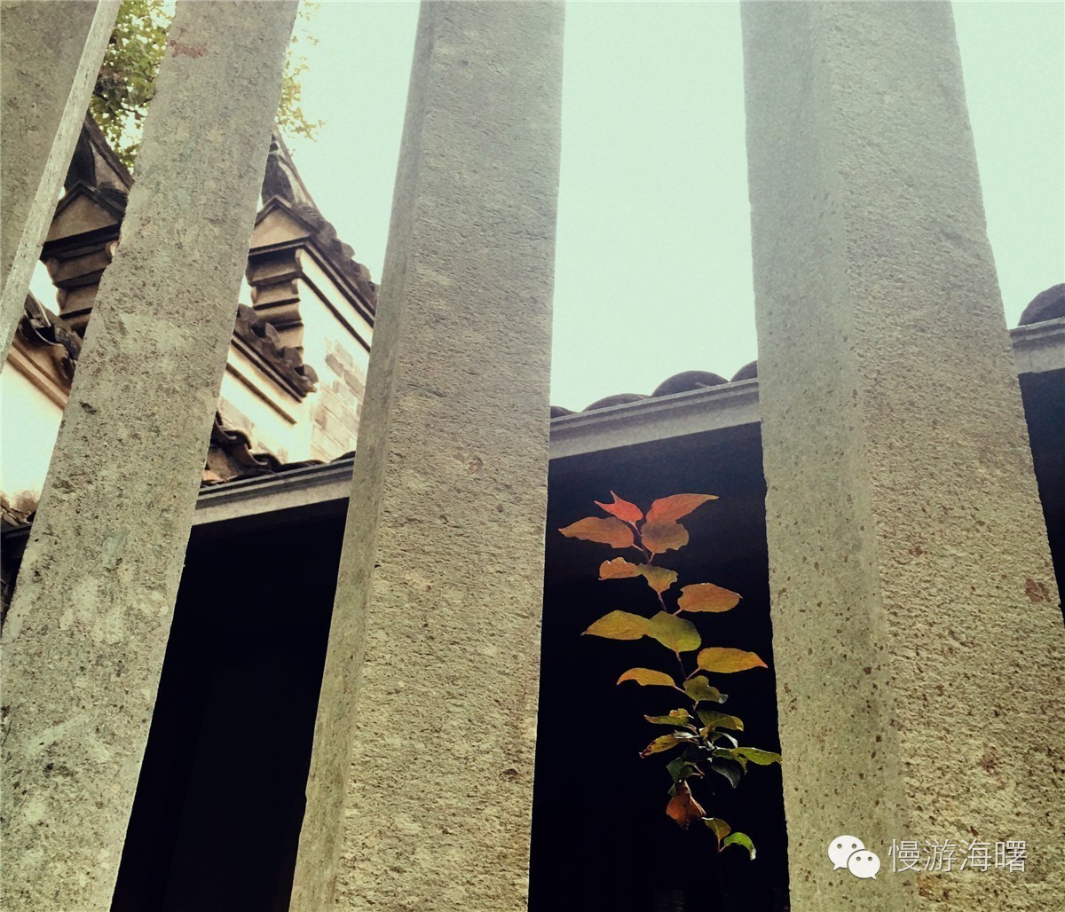 新宁波人游海曙,看完觉得自己这么多年宁波白待了!有奖征集作品02