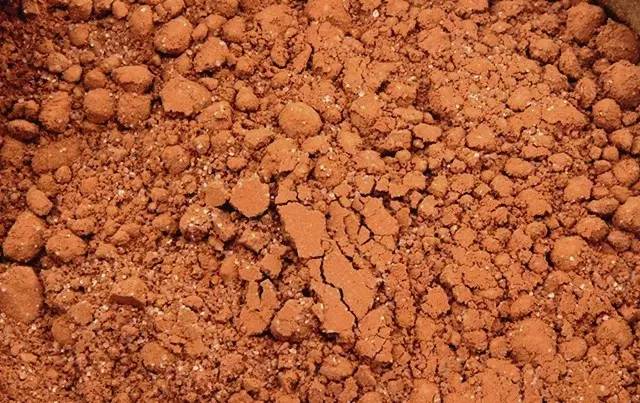 当寒冷的冬天遇上暖阳,当寒冷的冬天遇上温暖