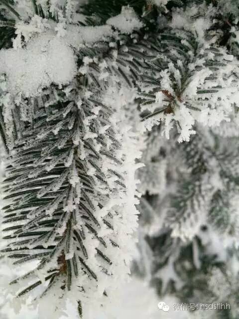 攻略|教你如何在师大刷出SSR