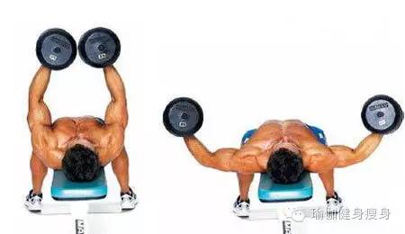 俯卧撑跟哑铃哪个锻炼胸肌好点,哑铃锻炼胸肌动作图解视频
