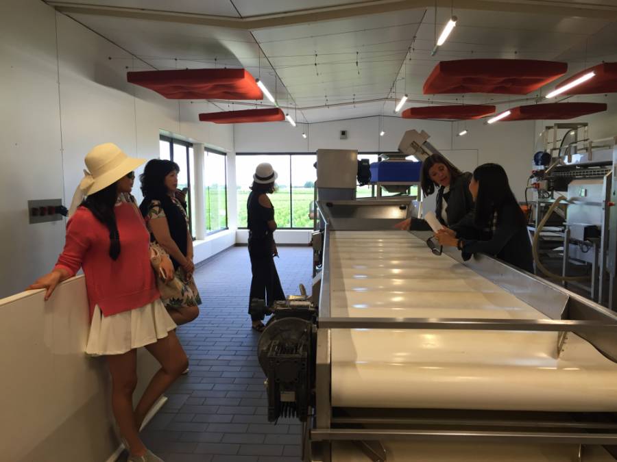 波尔多名庄酒庄,波尔多有名的酒庄