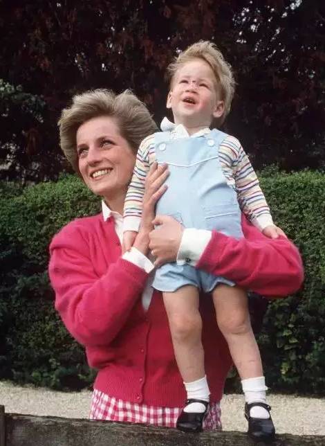 小王子你不冷吗?你王妃额娘为啥永远给你穿条小短裤?