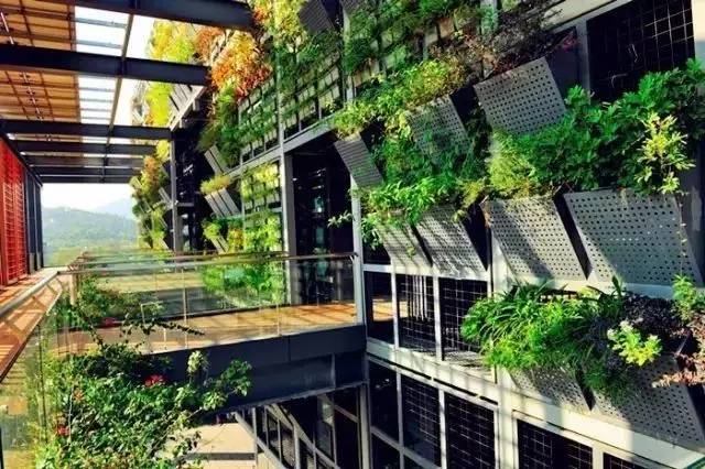 关注深圳龙岗,深圳龙岗最好消息